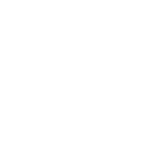 X (Twitter) logo